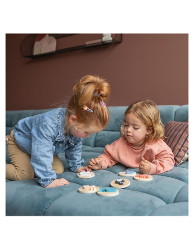 BSGA501,Puzzle de potrivire a formelor, Animale polare