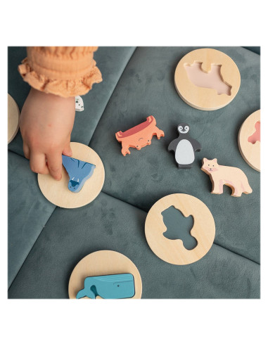 BSGA501,Puzzle de potrivire a formelor, Animale polare