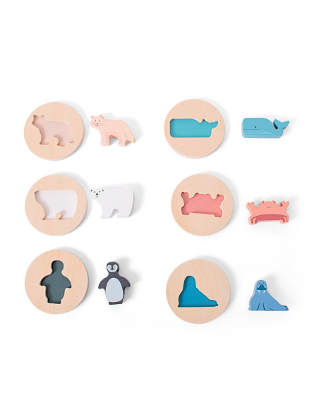 BSGA501,Puzzle de potrivire a formelor, Animale polare