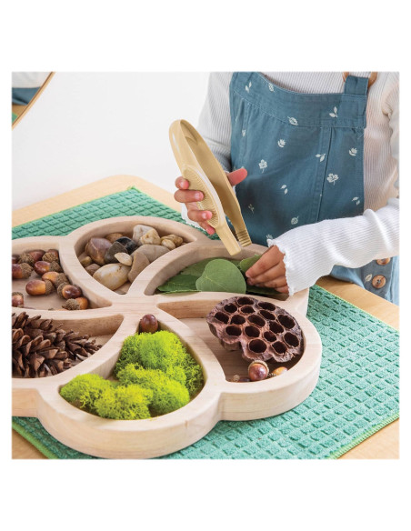 G4604,Set 6 pensete mari, Guidecraft