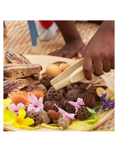 G4604,Set 6 pensete mari, Guidecraft