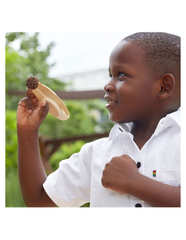 G4604,Set 6 pensete mari, Guidecraft