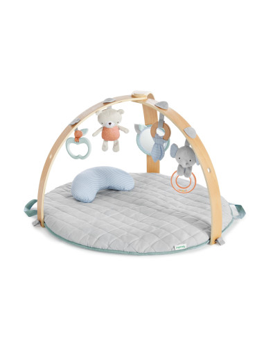 BB-12126,Ingenuity - Salteluta de activitati cu doua fete Cozy Spot