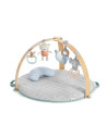 BB-12126,Ingenuity - Salteluta de activitati cu doua fete Cozy Spot