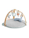 BB-12126,Ingenuity - Salteluta de activitati cu doua fete Cozy Spot