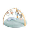 BB-12126,Ingenuity - Salteluta de activitati cu doua fete Cozy Spot