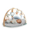 BB-12126,Ingenuity - Salteluta de activitati cu doua fete Cozy Spot