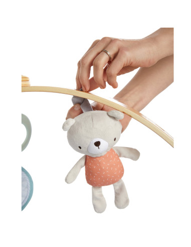BB-12126,Ingenuity - Salteluta de activitati cu doua fete Cozy Spot