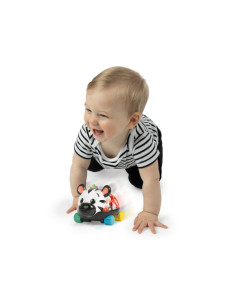 BB-16772,Baby Einstein - Masinuta zornaitoare "Curious Car Zen Oball" 2