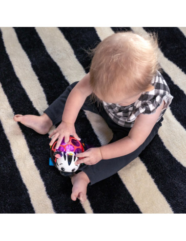 BB-16772,Baby Einstein - Masinuta zornaitoare "Curious Car Zen Oball"