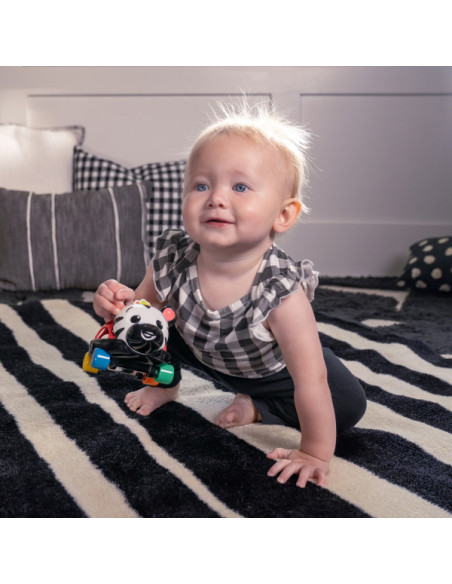 BB-16772,Baby Einstein - Masinuta zornaitoare "Curious Car Zen Oball"