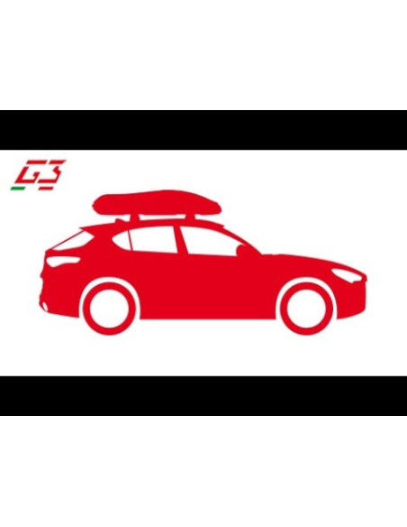 22.65,Cutie portbagaj G3 Bicube 300+ Negru mat