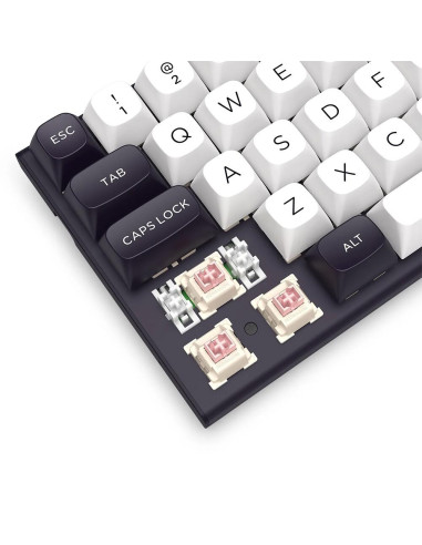 K701WB-RGB-M,Tastatura gaming mecanica Redragon Irelia neagra cu alb iluminare RGB switch-uri magnetice roz