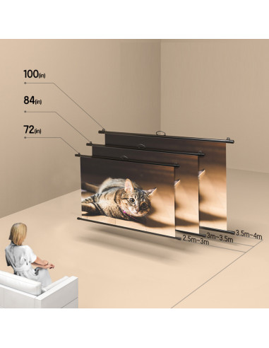 DLES903,Ecran proiectie 220 x 124.5 cm manual pe trepied deli
