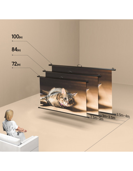 DLES903,Ecran proiectie 220 x 124.5 cm manual pe trepied deli