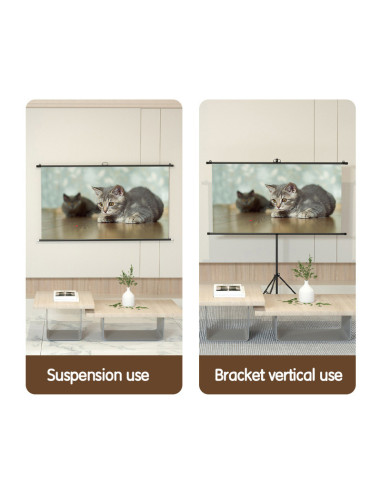 DLES901,Ecran proiectie 160 x 92 cm manual pe trepied deli