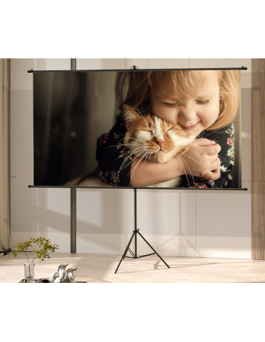 DLES902,Ecran proiectie 186 x 104.5 cm manual pe trepied deli