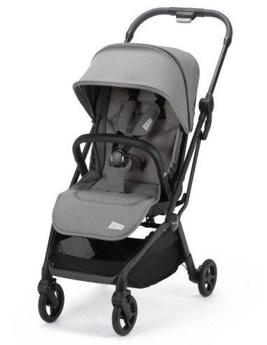 TN-89310310050,Carucior Reversibil Lexa Elite Prime Silent Grey