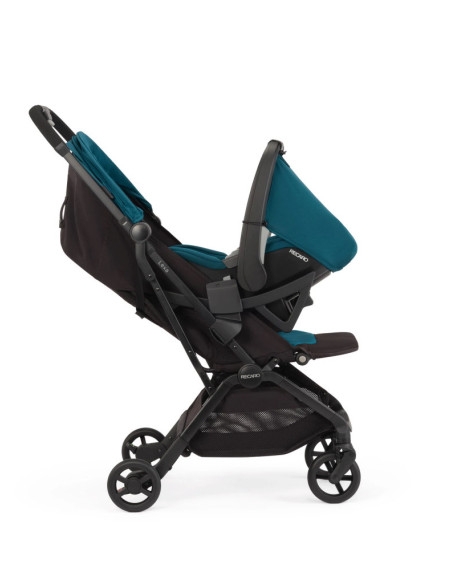 TN-89300440050,Carucior Lexa Select Sweet Curry
