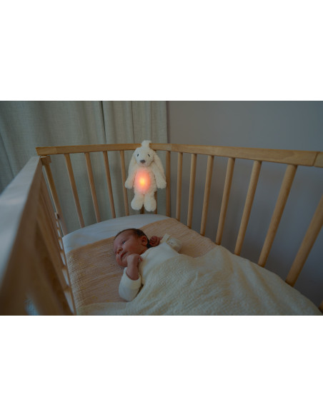 ZA-RO-03,Iepurasul RO cu dispozitiv lumina si sunet, Alb