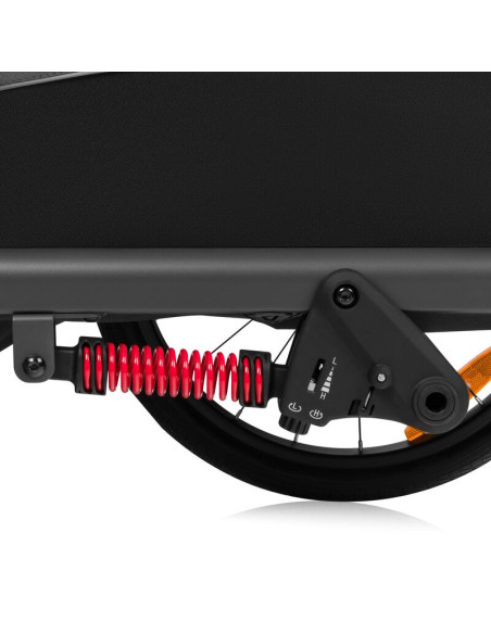 BN-LO-CAMA_GREY_GRAPHITE,Carucior si remorca de bicicleta, Lionelo, Cama, Multifunctional, Pentru 1 sau 2 copii, Cu sistem de ab