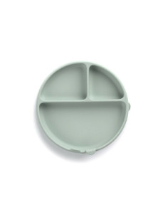 BN-8420421089354,Farfurie BLW, Din silicon, Cu ventuze, 17 x 17 x 4 cm, BPA Free, Mint 2