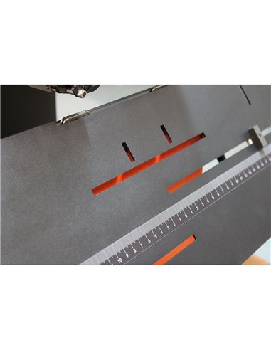 Capsator electric cu sarma SENWEI DZ350B