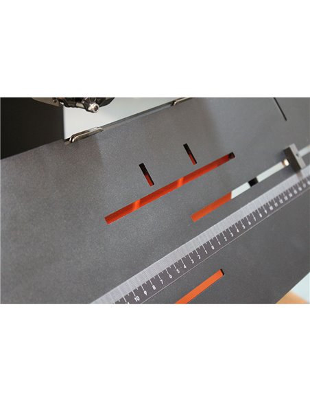 Capsator electric cu sarma SENWEI DZ350B