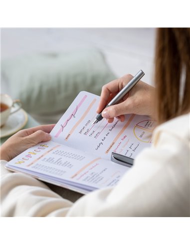 Stilou Schneider Ceod Shiny, Gri