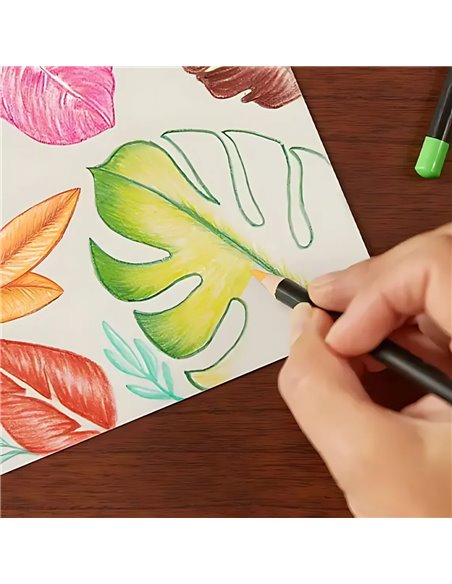 Creioane colorate BIC Intensity Premium, 12 culori