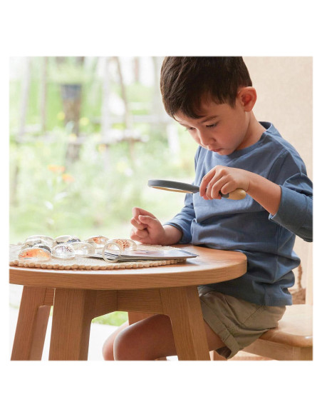 G4501,Specimen Stones, pietre din acril cu creaturi marine