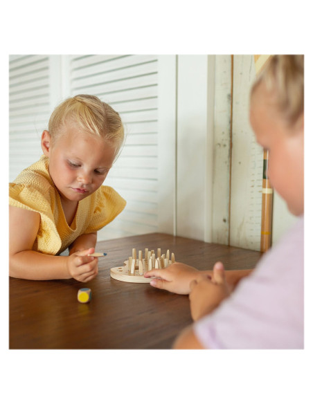 BSGA514,Joc de memorie cu pensule colorate