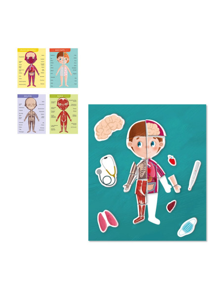 DDO-200220,Descopera corpul omenesc, set magnetic cu 130 piese