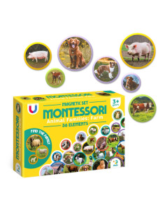 DDO-200271,Set magnetic Montessori, Familii de animale 2