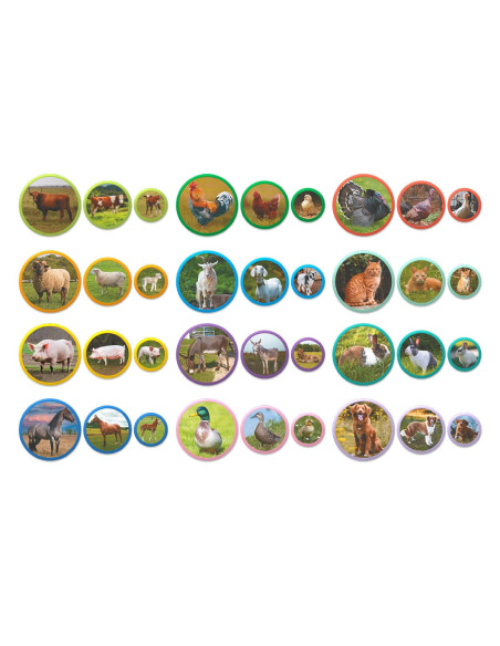 DDO-200271,Set magnetic Montessori, Familii de animale