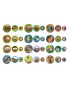 DDO-200271,Set magnetic Montessori, Familii de animale