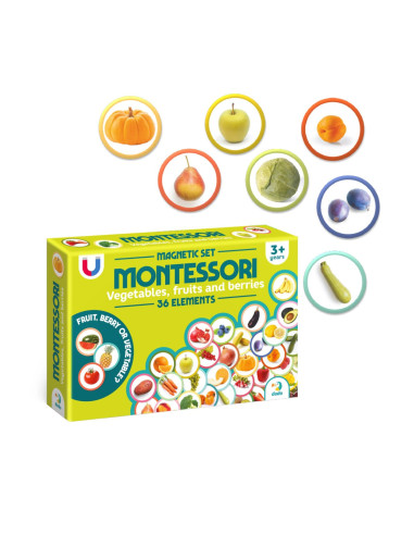 DDO-200272,Set magnetic Montessori, Fructe si legume