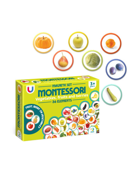 DDO-200272,Set magnetic Montessori, Fructe si legume