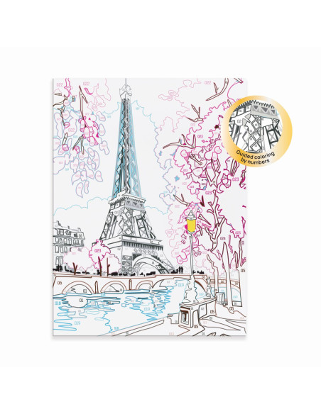 VV-1038-41022,Picteaza Si Inrameaza Parisul Primavara