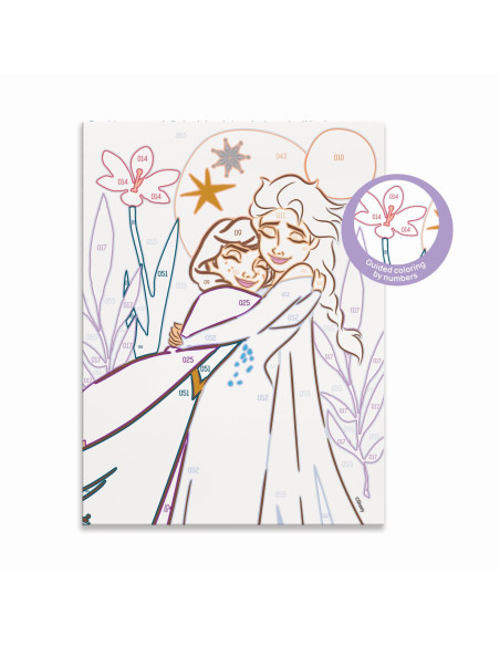 VV-1038-41034,Picteaza Si Inrameaza Disney Frozen