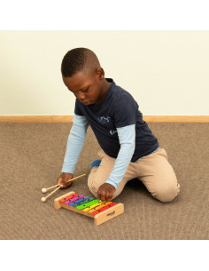 Vin759634,Xolifon colorat 2