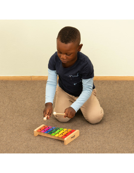 Vin759634,Xolifon colorat