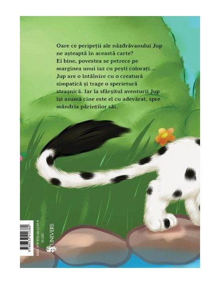 9789733412380,Jup, un pisoi de soi – volumul IX – Un salt norocos
