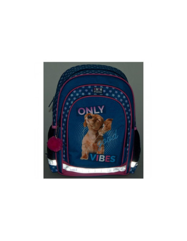 G484,Ghiozdan Starpak Good Vibes, 2 comparimente, 3 buzunare, albastru cu roz, 446590