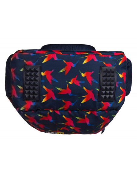 G462,Ghiozdan St.Majewski St.Right Rainbow Birds, 3 compartimente, 2 buzunare, negru cu rosu, BP-26 / 622502