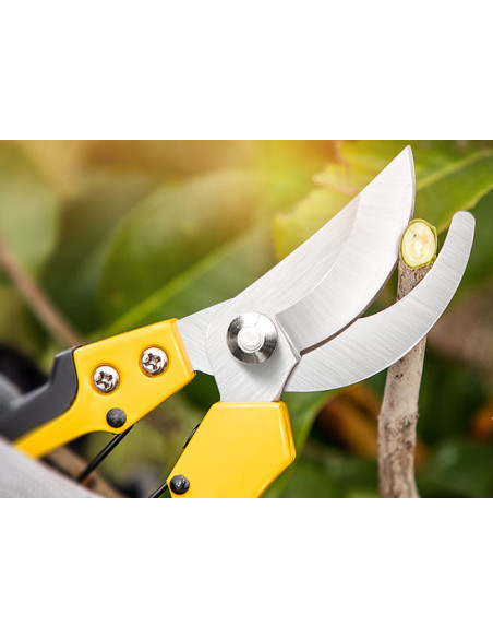 DL2770,Foarfeca pentru gradinarit profesional 8" deli