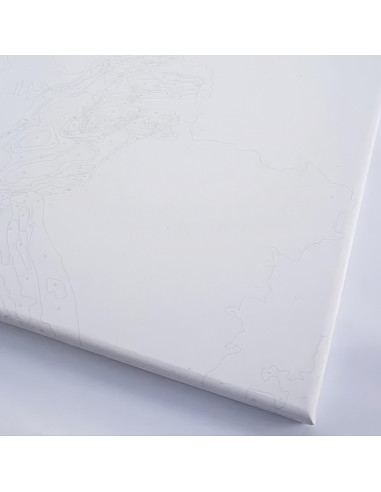 P4260,Set Pictura pe numere 40x50cm, Brushme - vals - panza, cadru de lemn, pensule, culori acrilice, BS52217