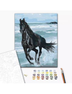P4265,Set Pictura pe numere 40x50cm, Brushme - Calul alearga in mare - panza, cadru de lemn, pensule, culori acrilice, BS29330