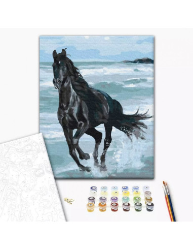 P4265,Set Pictura pe numere 40x50cm, Brushme - Calul alearga in mare - panza, cadru de lemn, pensule, culori acrilice, BS29330