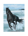 P4265,Set Pictura pe numere 40x50cm, Brushme - Calul alearga in mare - panza, cadru de lemn, pensule, culori acrilice, BS29330